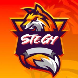 _stegy_ avatar