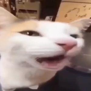 waleczny123 avatar