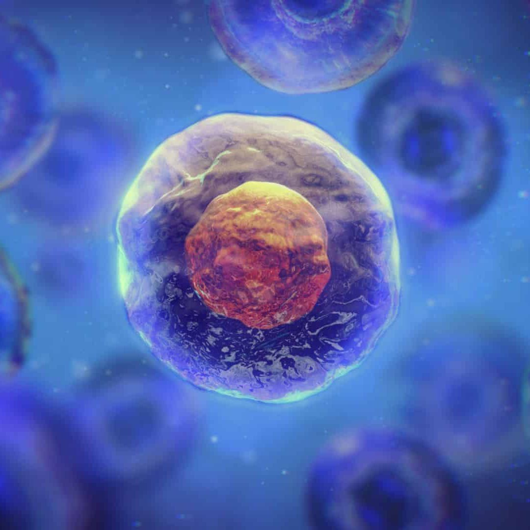 Nucleus696