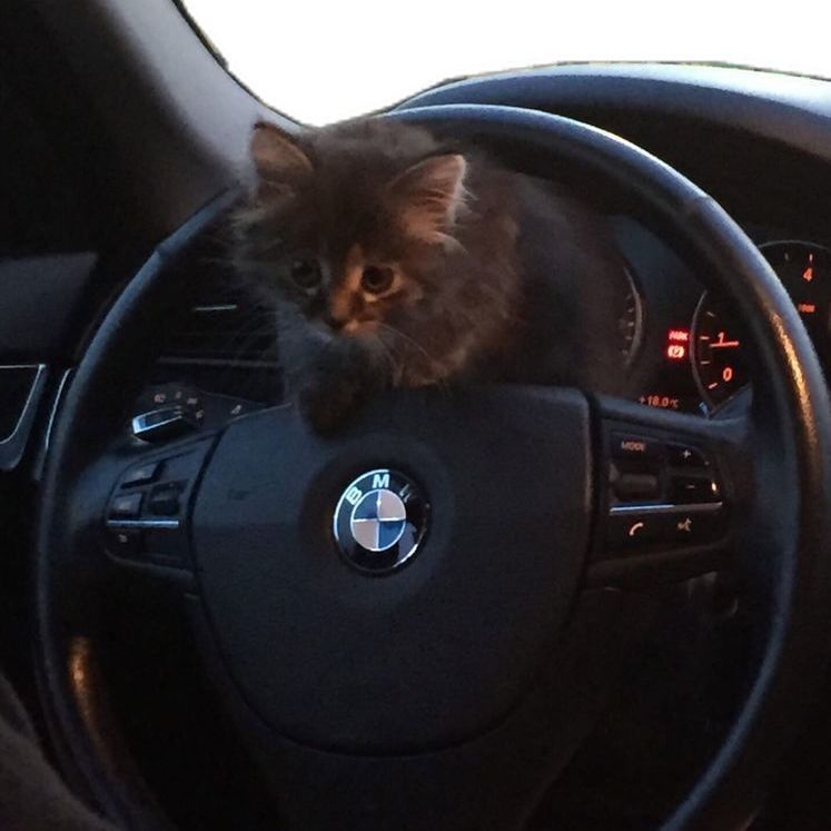 sereja_bmw