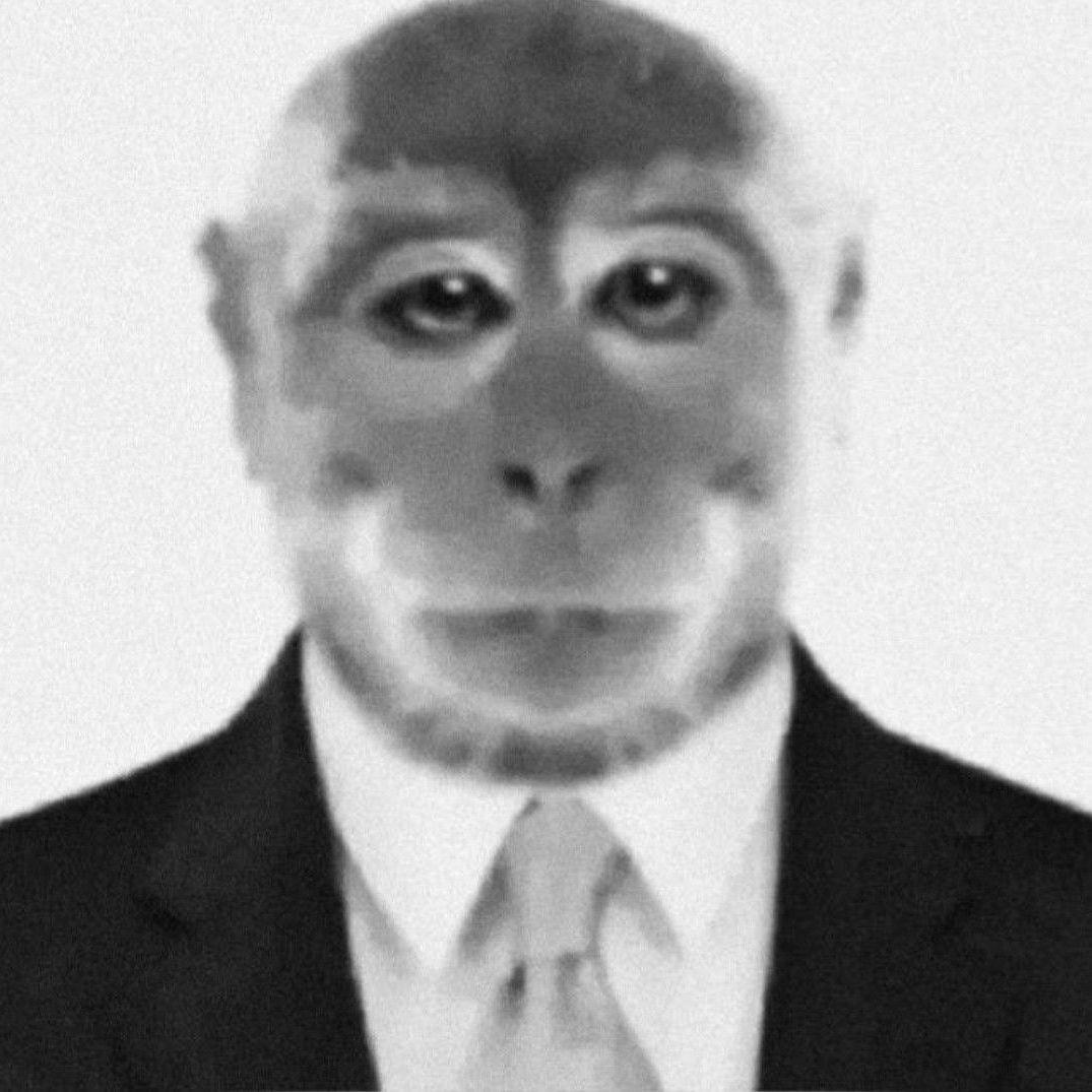 lipik52