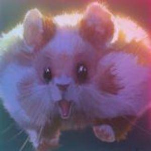 XO1m4k avatar