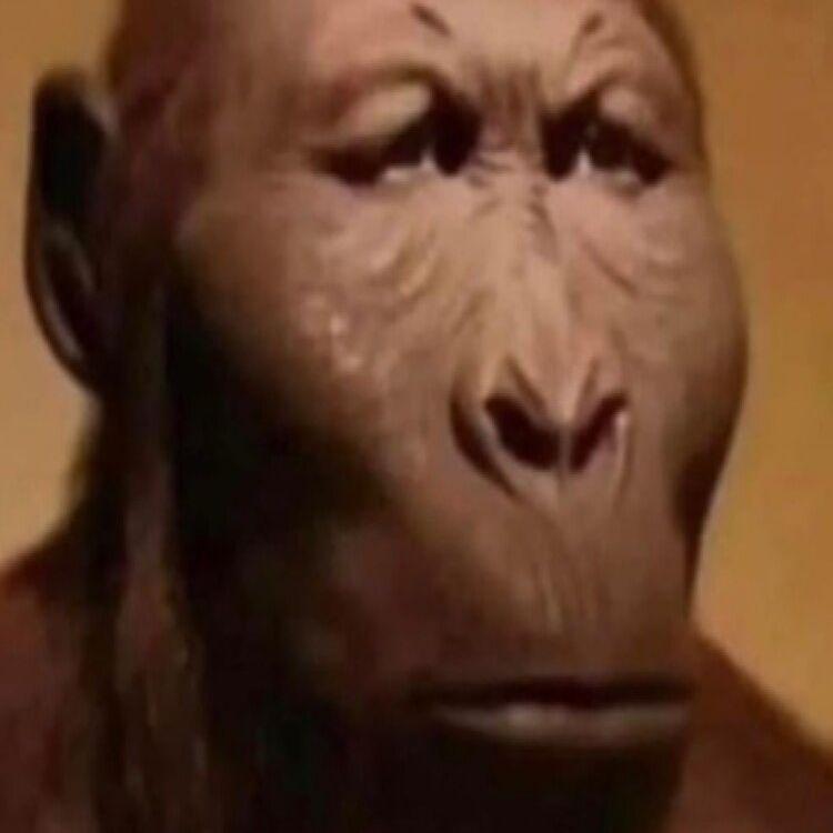 Colmus avatar