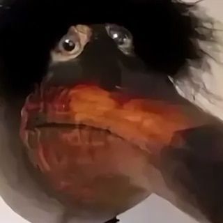_sveto4_ avatar