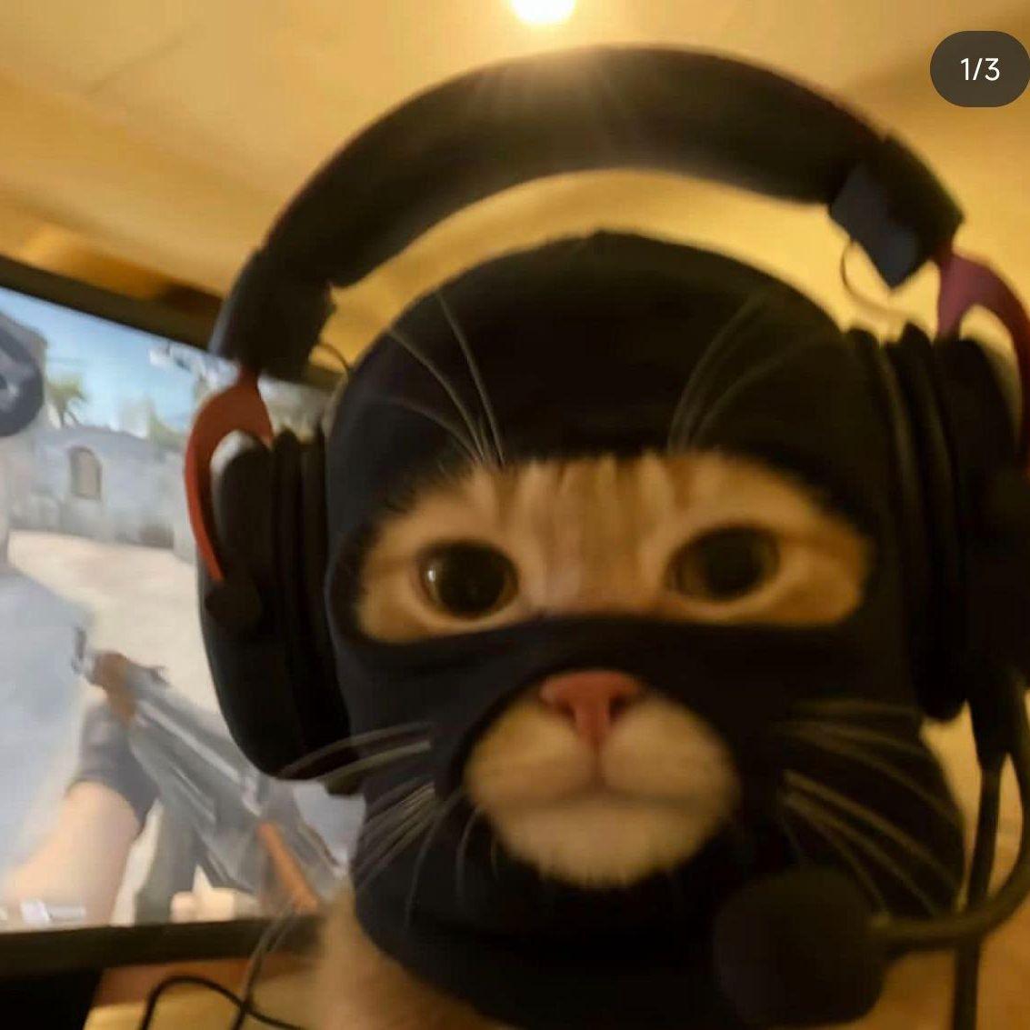 eysle_ avatar