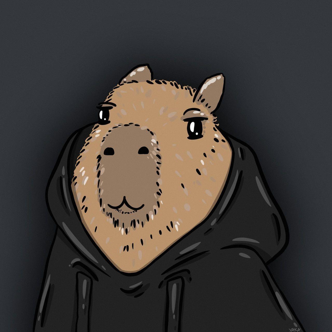 equals10 avatar