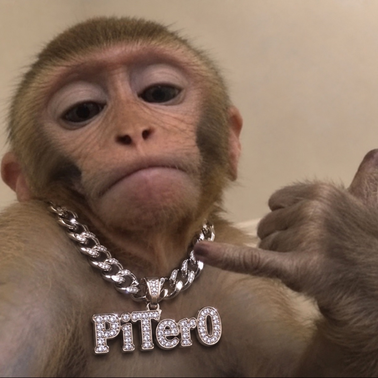 PiTer0