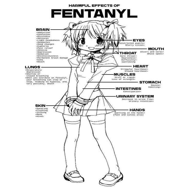 sxlfdestruct avatar