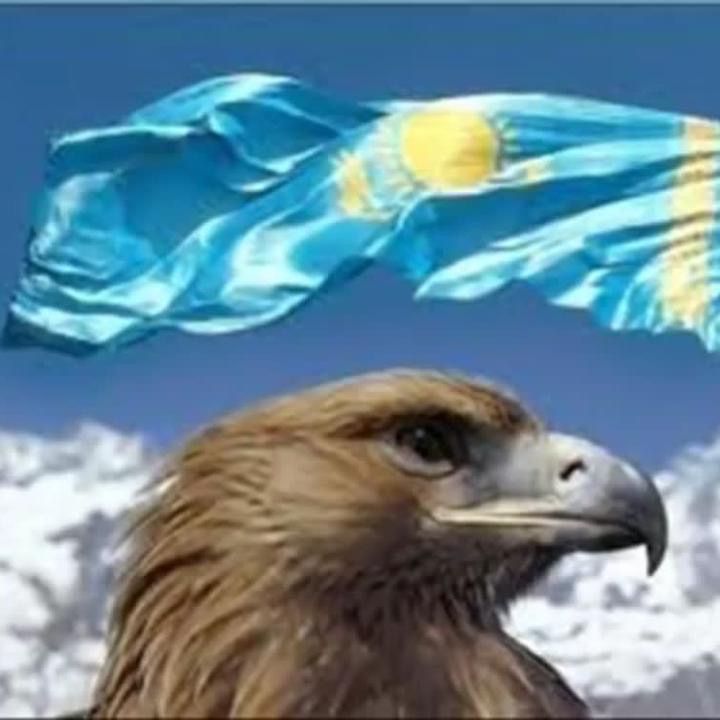 4elaxxxxxxxx