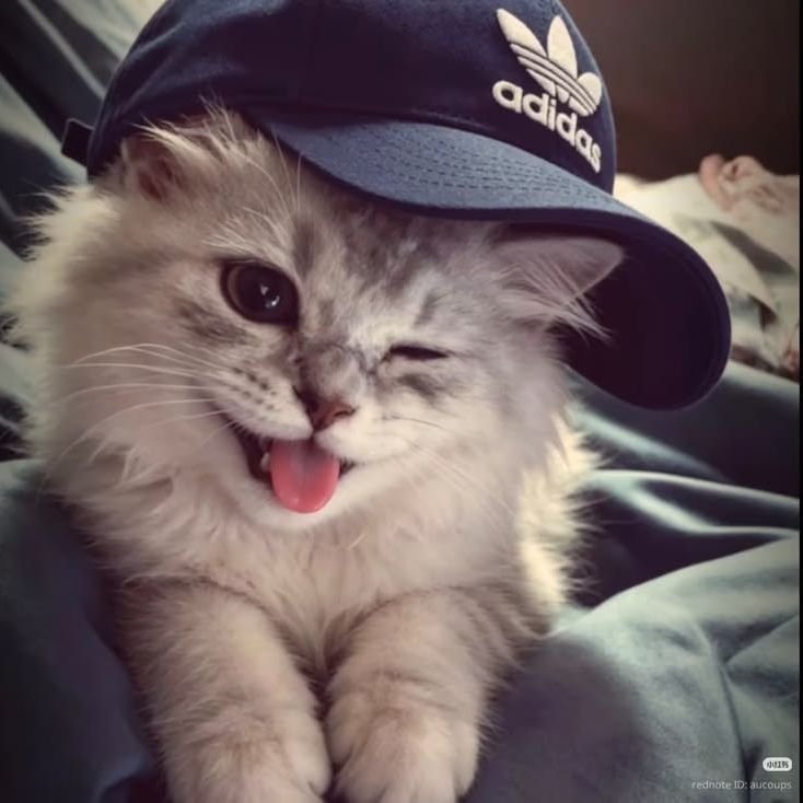 yersqwz