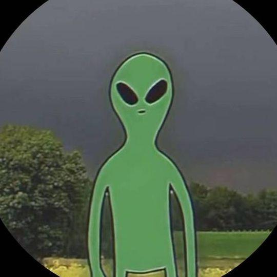 brrrayen avatar