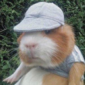 Deussz avatar