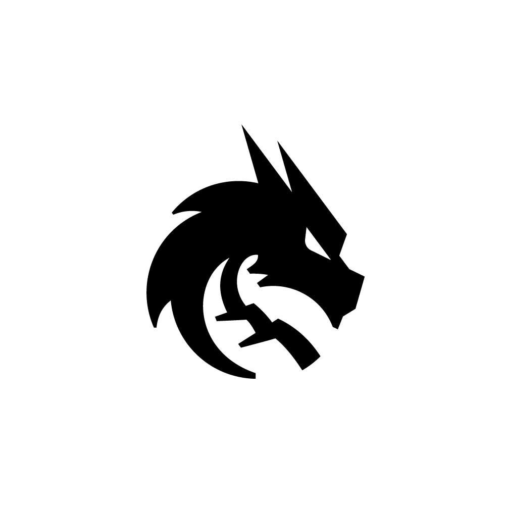 team_v1rok666