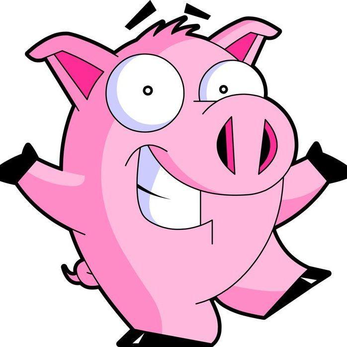 SWIN2Z avatar