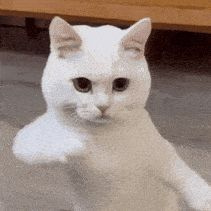 Go Dobegaem