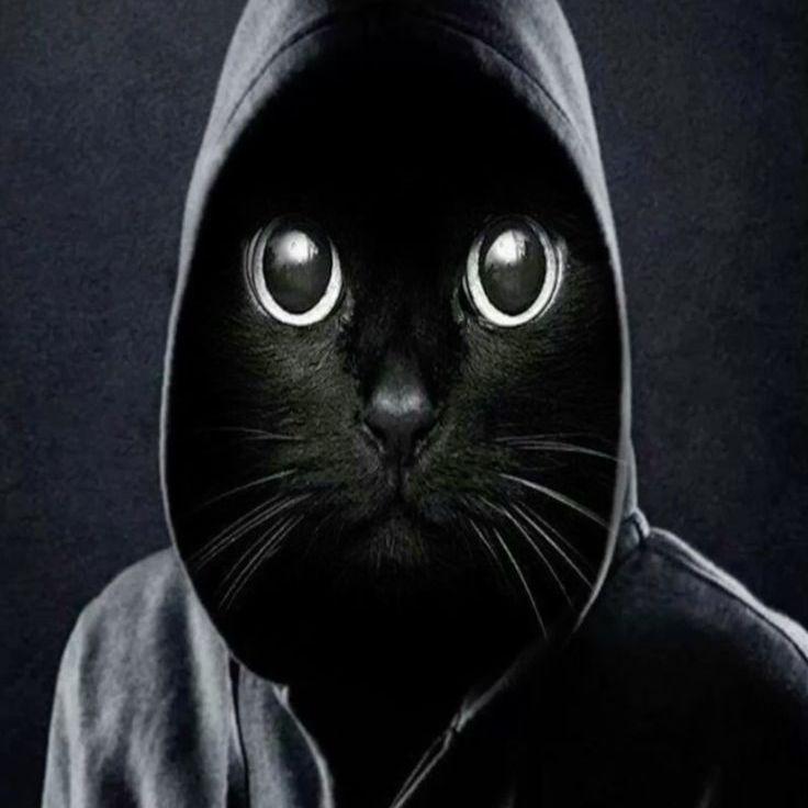 xxmico avatar