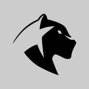 Faceit avatar