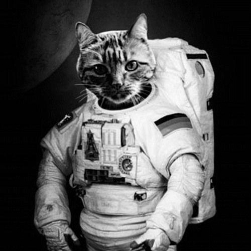 a5tr0cat