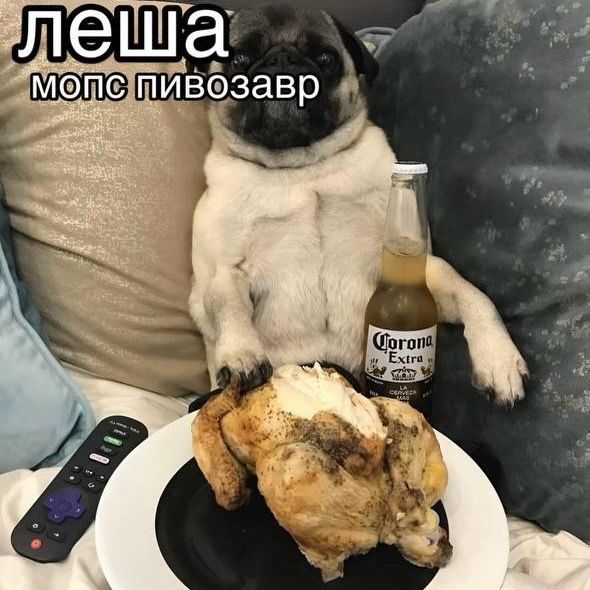 sexysippy