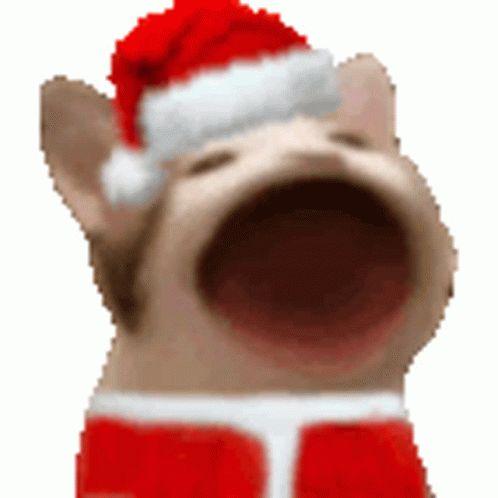 turbosvinch avatar
