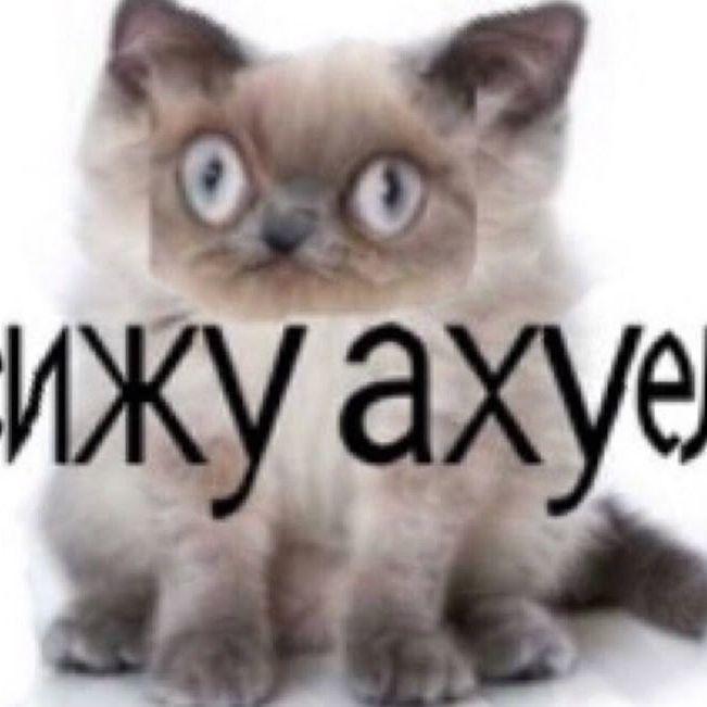 Akceji avatar