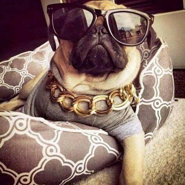 styleofworld