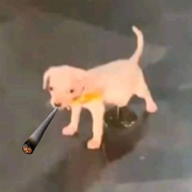lBUYWEED