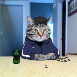 4e6ypawka