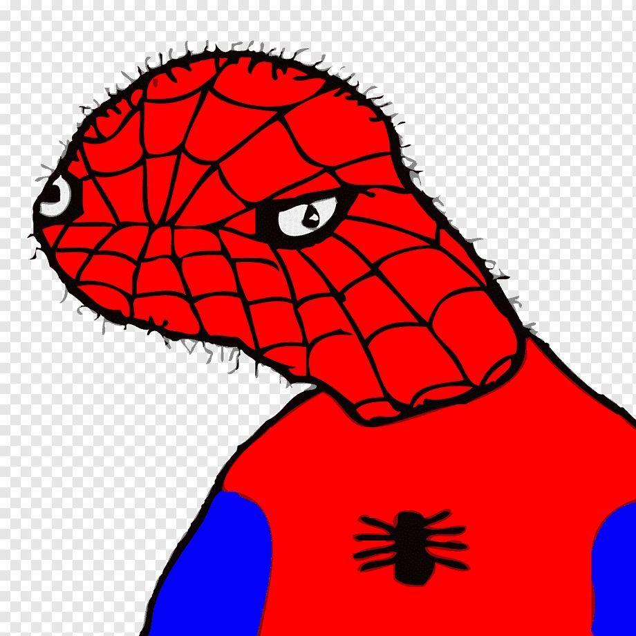 KakySTS avatar