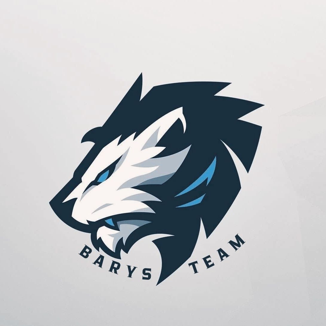 Barys team