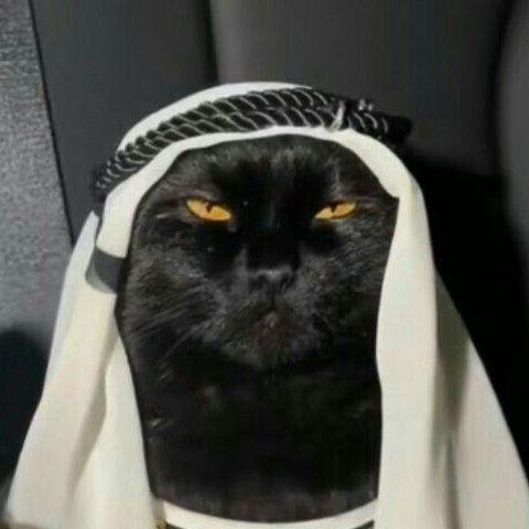 -saad_ avatar