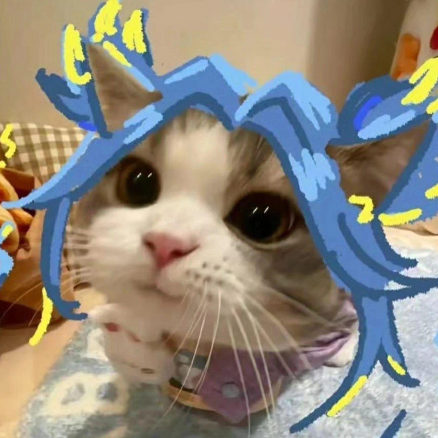 Naberq avatar