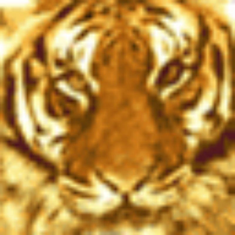 dubstash avatar