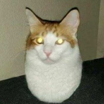 7AZ4
