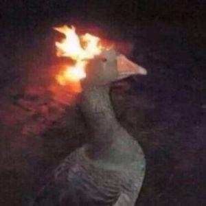 Marw0s avatar