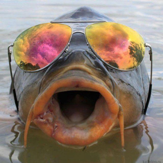 Putinlox3
