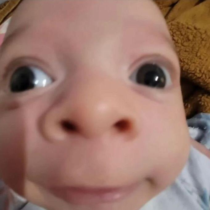 ApeLs1nshik avatar