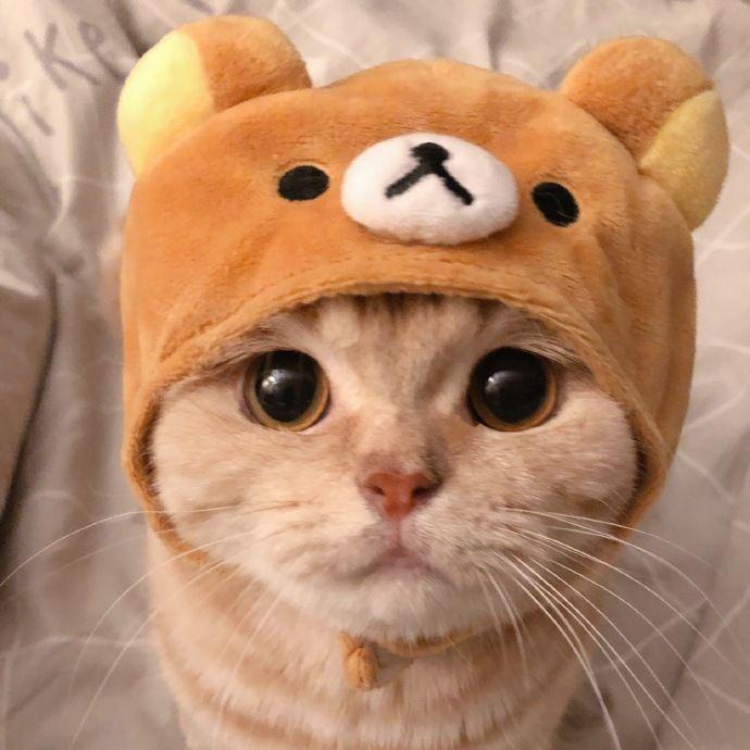 wtdo_0 avatar