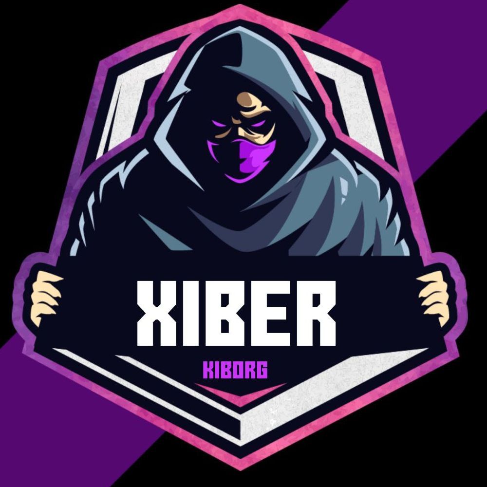 Xiber_1