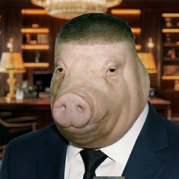 Nillarr FACEIT avatar