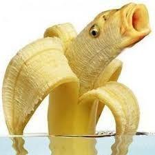 Bananafish31 avatar