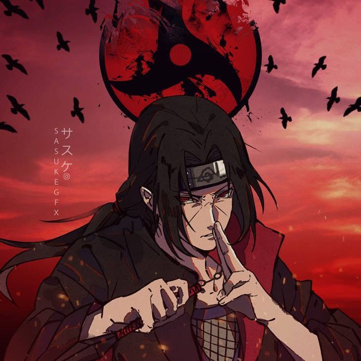 dasiu666