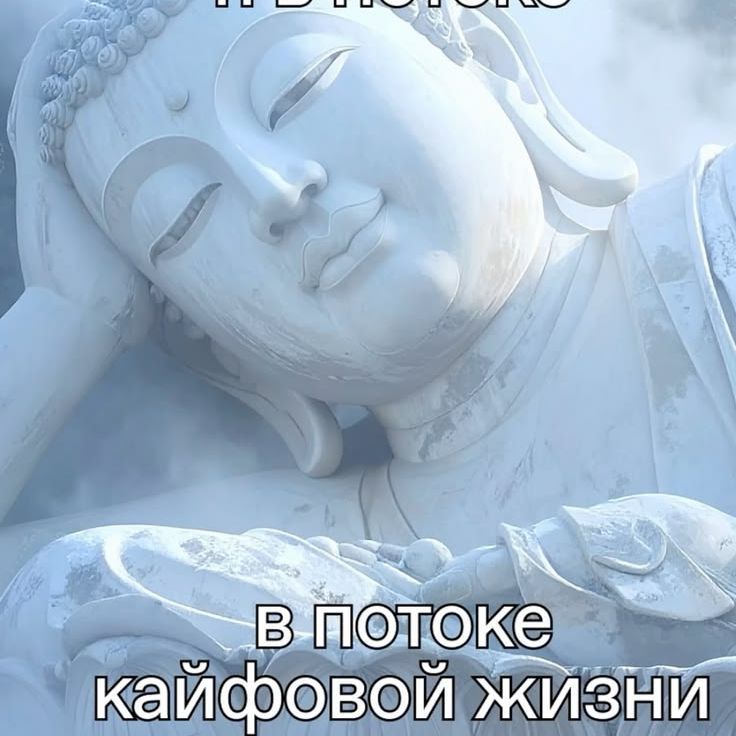 cKoPaY_nomo4