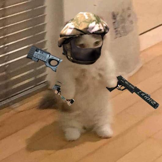Jmooooo