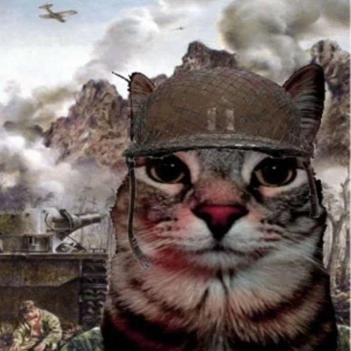 Inzao avatar