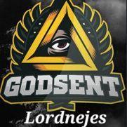 Player lordnejes avatar