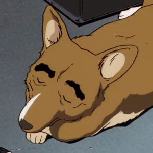 Faceit profile picture for @simplicity