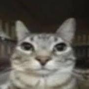 Vyroxio avatar