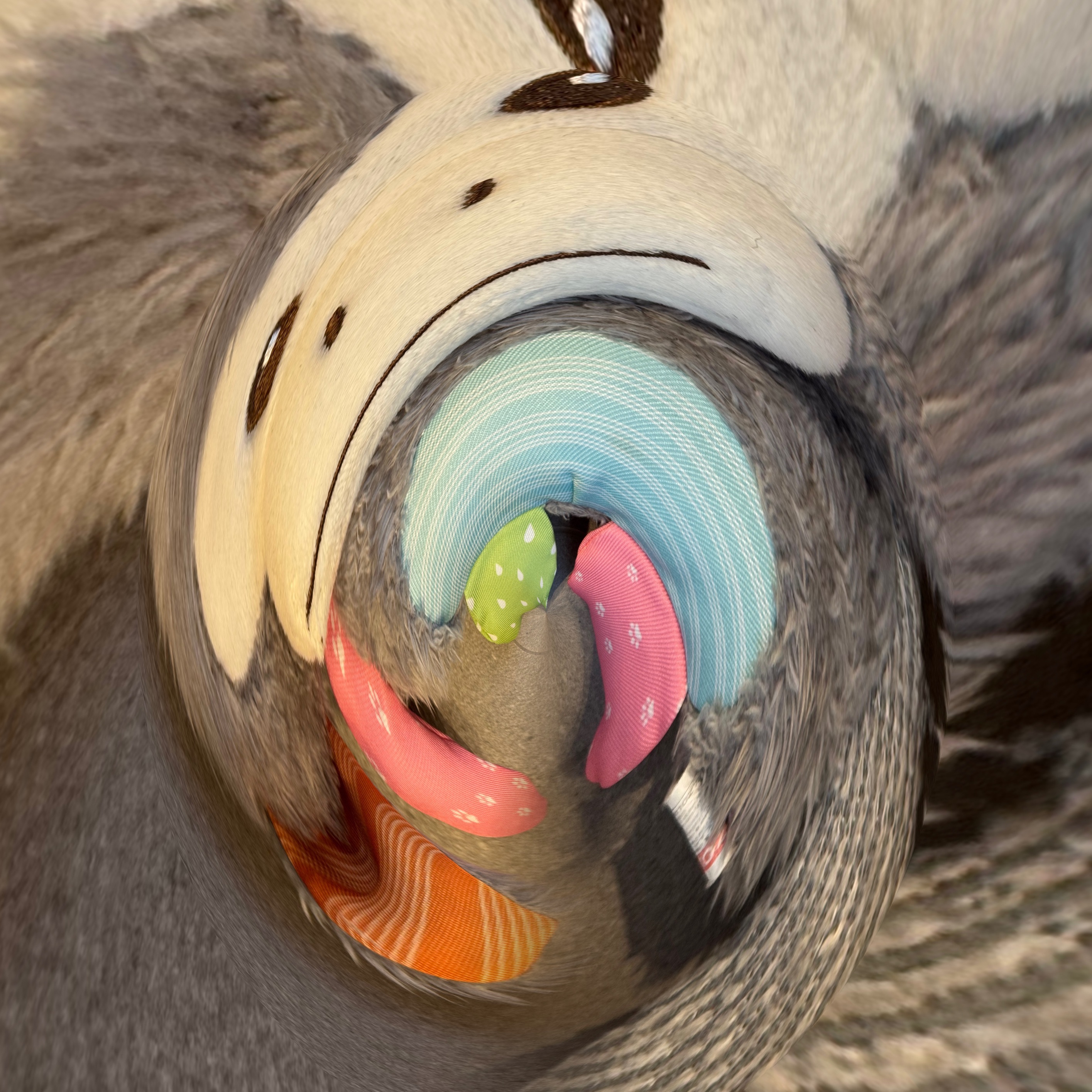 B_CKUHHU