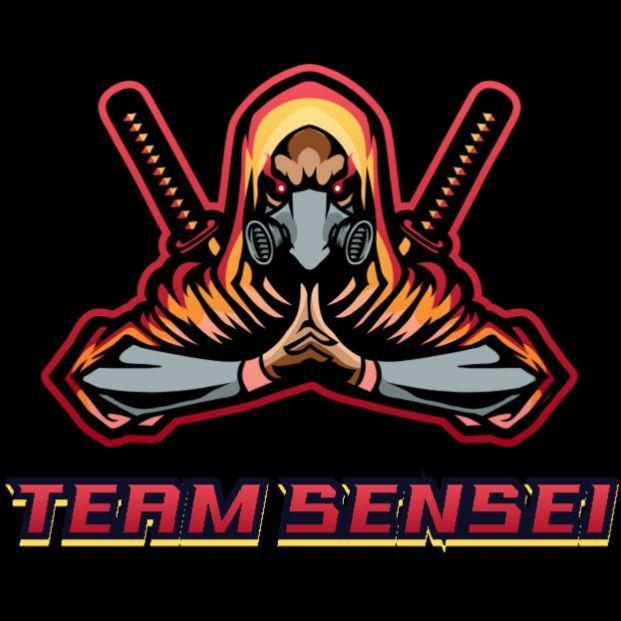Team Sensei